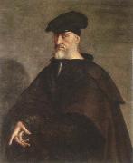 Sebastiano del Piombo portrait of andrea doria oil